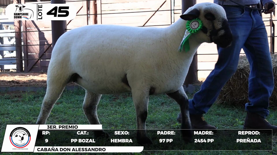 Lote LOTE 45- BOZAL