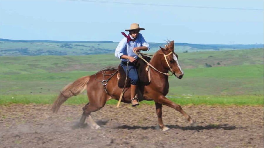 Lote El Gavilan Mete Miedo (RP 408) Cabaña "El Gavilán"