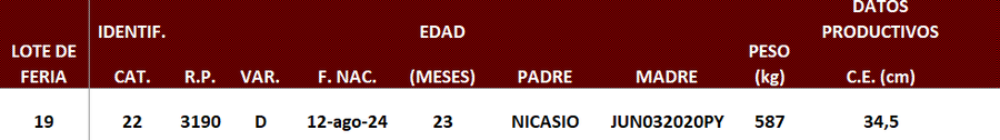 Lote LOTE 19