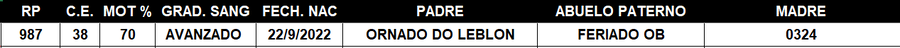 Lote LOTE 45