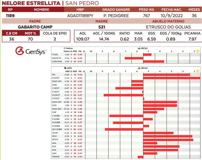 Lote LOTE 6