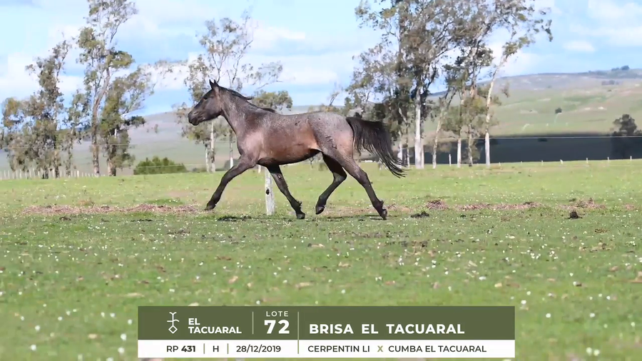 Lote BRISA EL TACUARAL