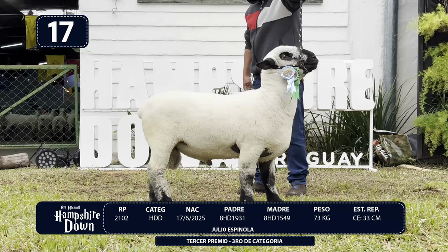 Lote LOTE 17