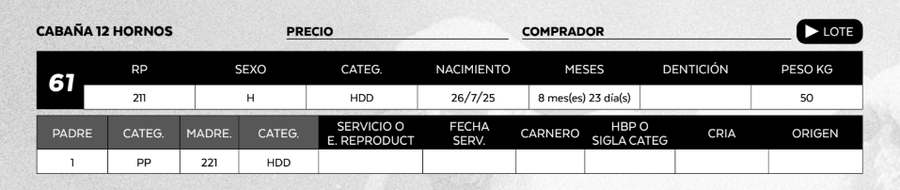 Lote LOTE 61