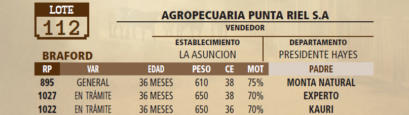 Lote LOTE 112 - PANTALLA