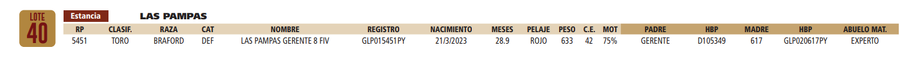 Lote LOTE 40
