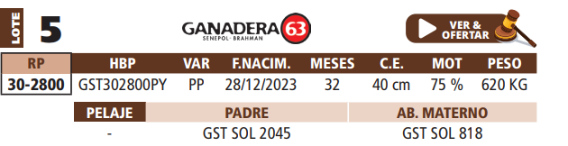 Lote LOTE 5