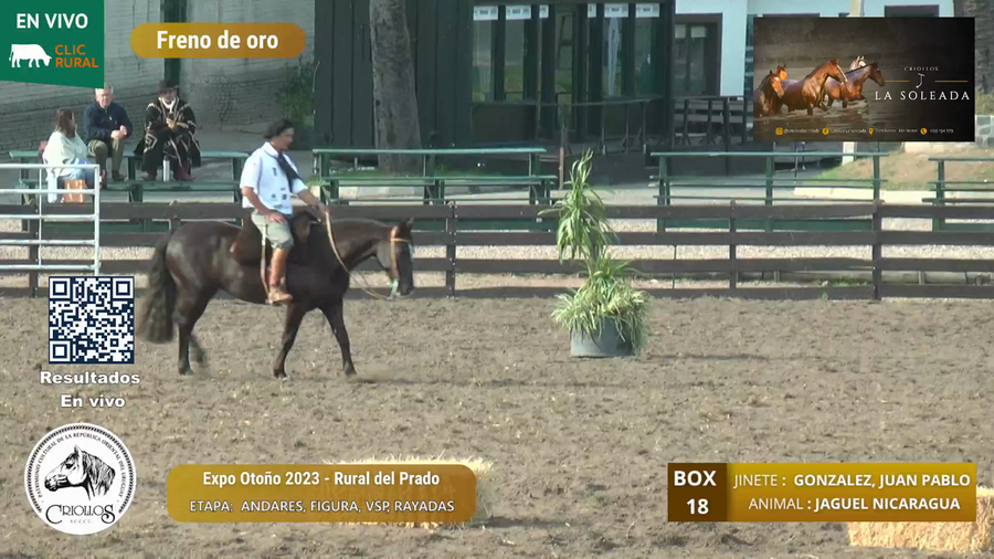Lote JAGUEL NICARAGUA - CORREA DA SILVA, ANA PAULA