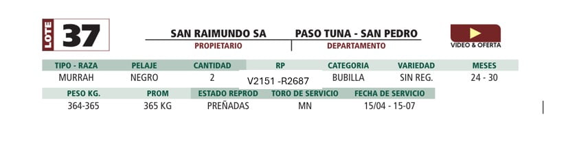 Lote LOTE 37