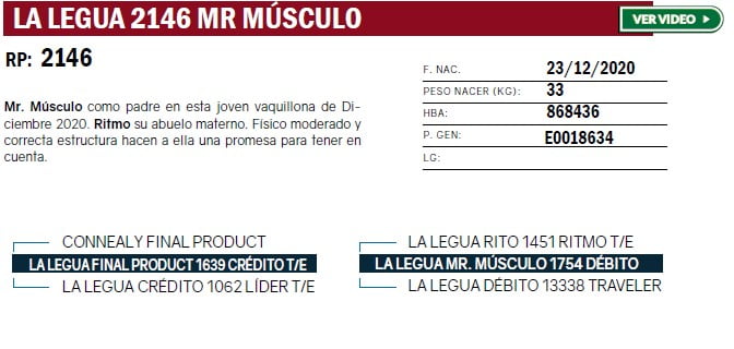 Lote VAQUILLONAS PURA DE PEDIGREE