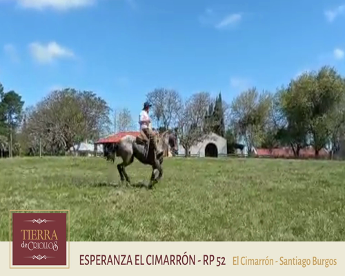 Lote Esperanza El Cimarrón (RP 52) - Cabaña El Cimarrón