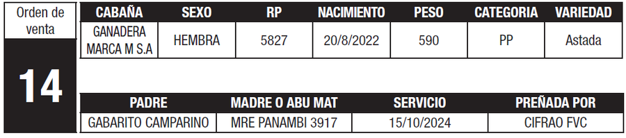 Lote LOTE 14