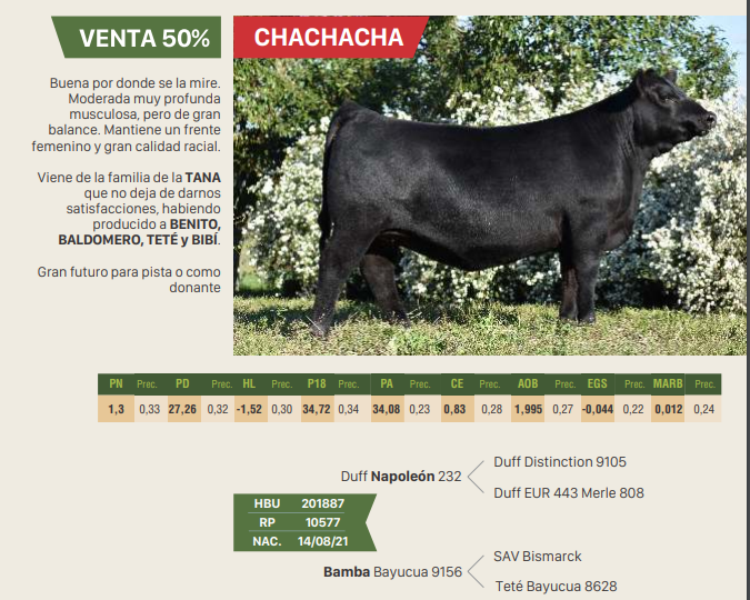 Lote CHACHACHA - MALTA - JOSEFINA