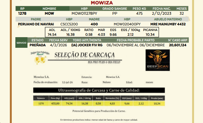 Lote LOTE 32