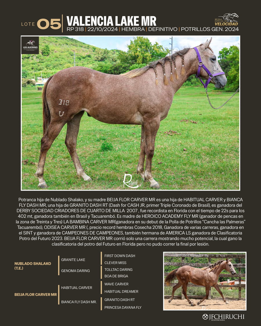 Lote VALENCIA LAKE MR