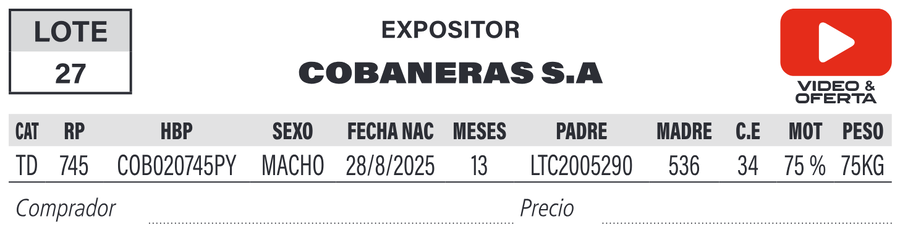 Lote LOTE 27