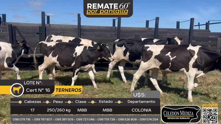Lote 17 Terneros en Manantiales, Colonia