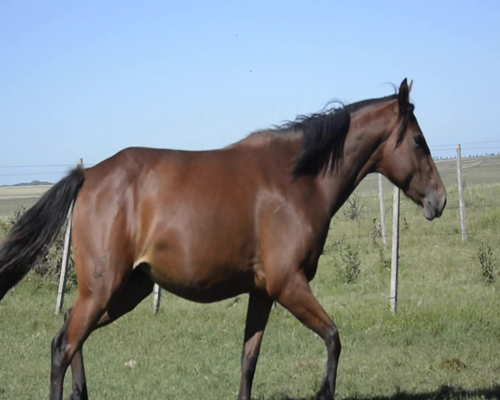 Lote P Y M CONCEPCION