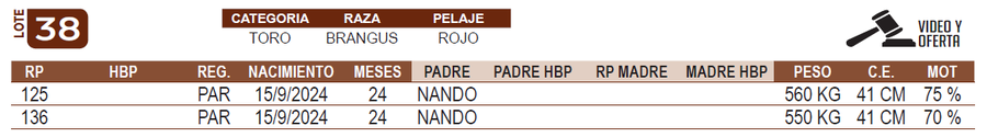 Lote LOTE 38