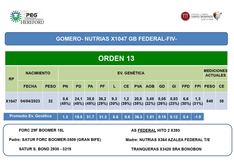Lote Toros PP