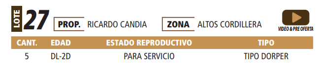 Lote LOTE 27 -POR PANTALLA