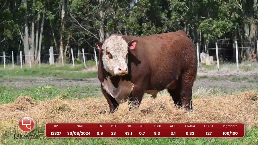 Lote Lote 14