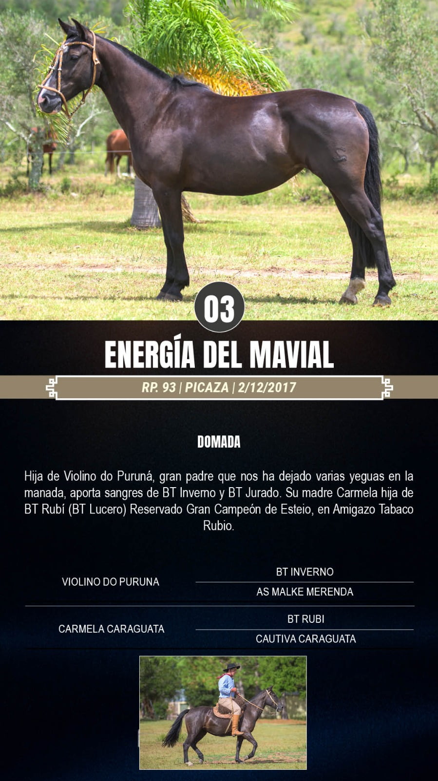 Lote Energia del Mavial