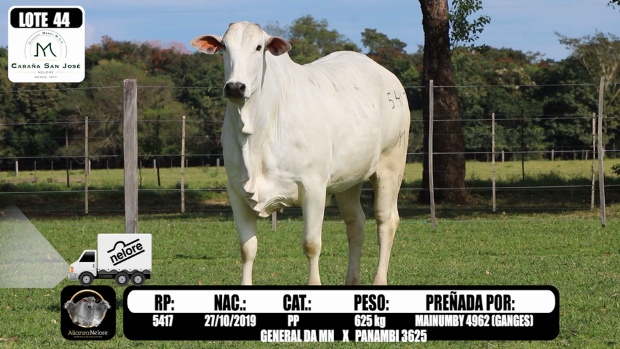 Lote LOTE  44-RP 5417