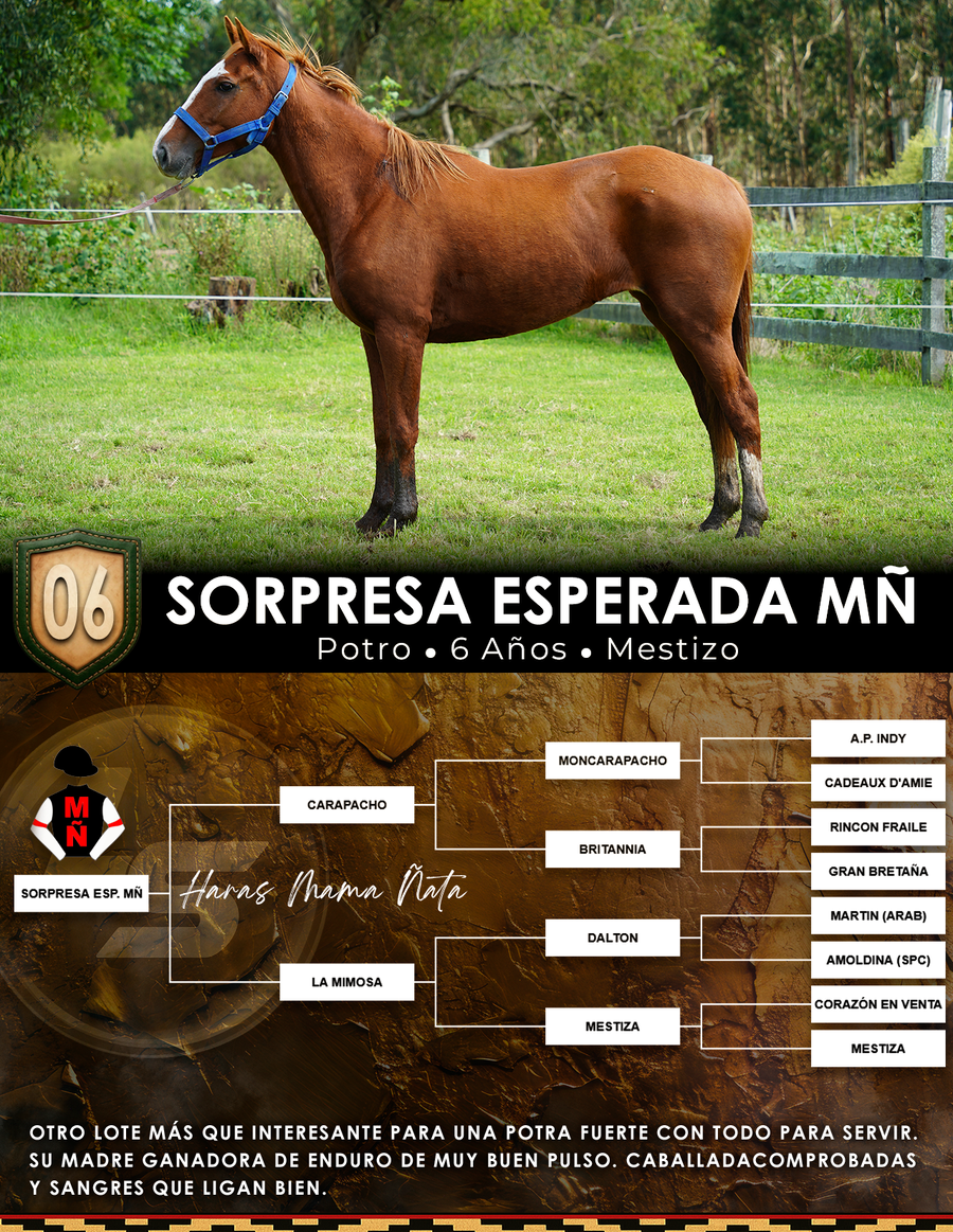 Lote SORPRESA ESPERADA MÑ