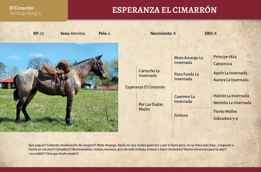 Lote Esperanza El Cimarrón (RP 52) - Cabaña El Cimarrón