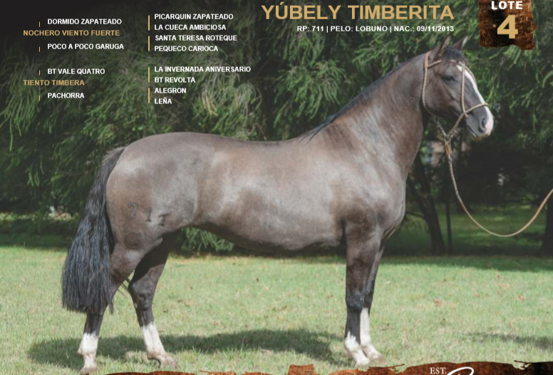 Lote YÚBELY TIMBERITA