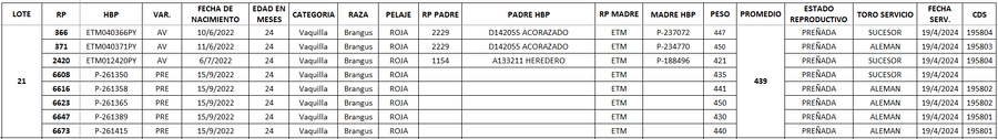 Lote LOTE 21