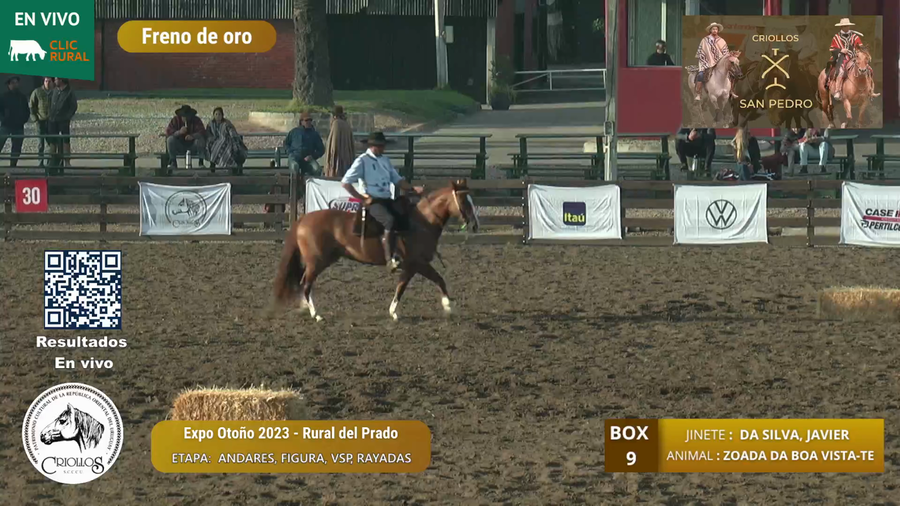 Lote LAS CAÑAS MEDIA VUELTA - VILLAMOR, MAURO