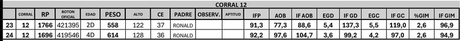Lote 2 Toros PC