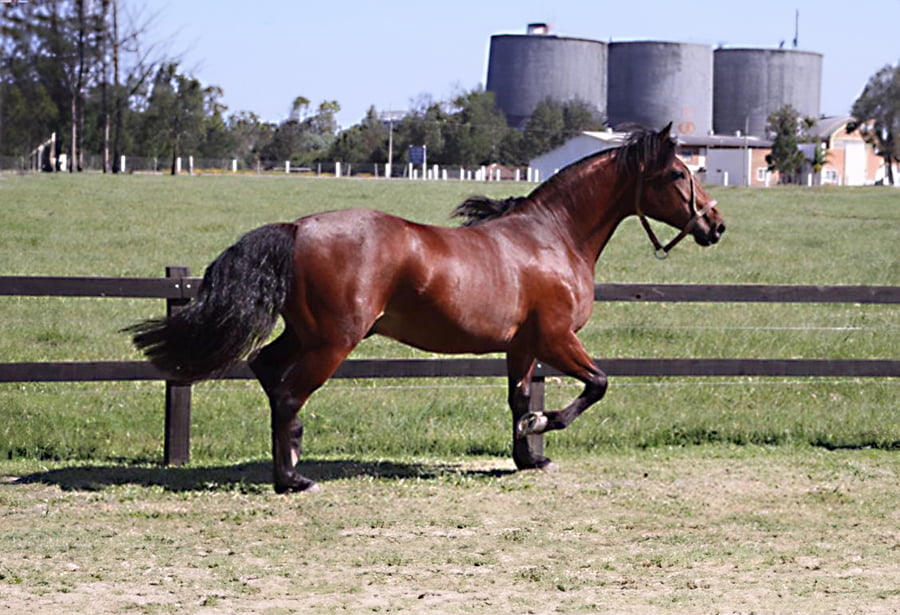 Lote LAS CALLANAS B GUSTO EN VERLO