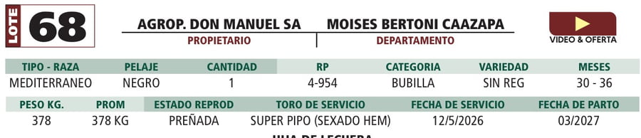 Lote LOTE 68