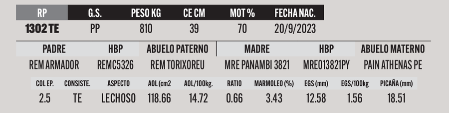 Lote LOTE 55
