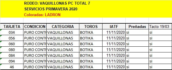 Lote Vaquillonas Angus, Puras Controladas, Preñadas en Olavarria, PBA.-
