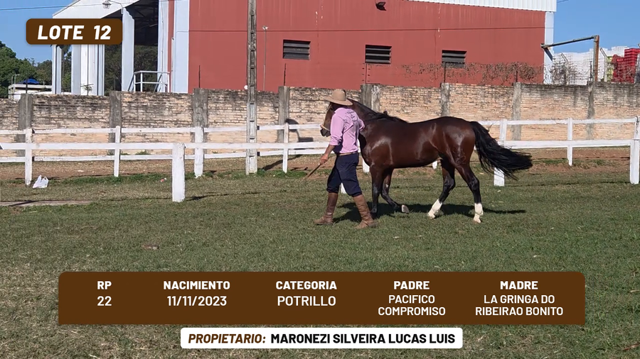 Lote LOTE 12