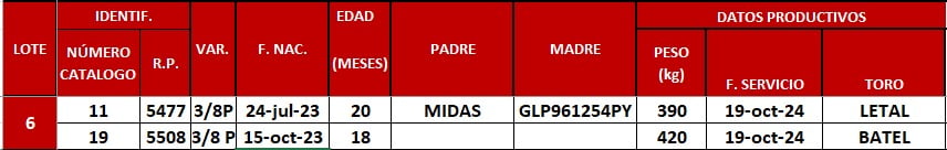 Lote LOTE 6
