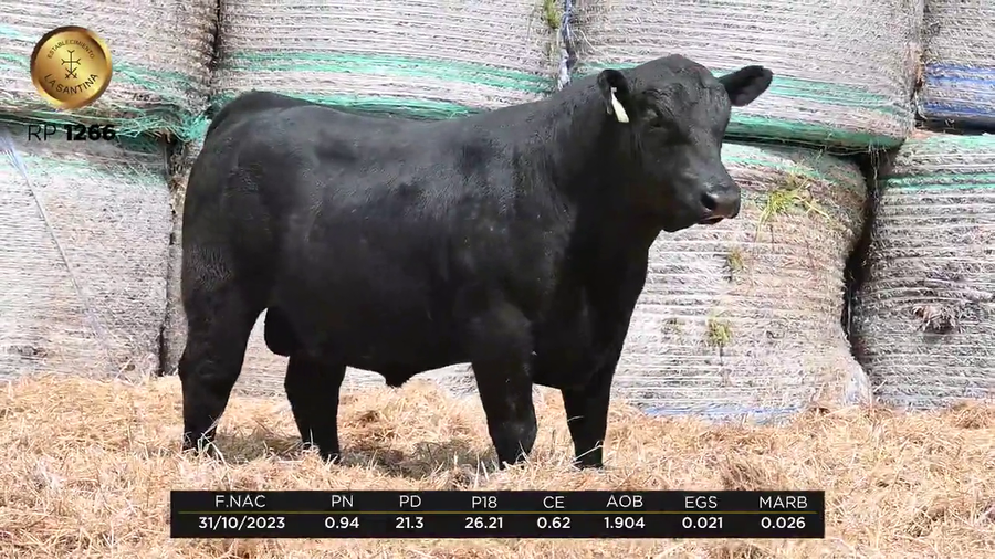 Lote LA SANTINA NAPOLEON 105-1266 TE