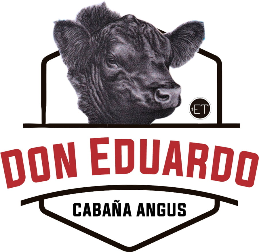 Lote VAQUILLONAS PREÑADA PP ANGUS