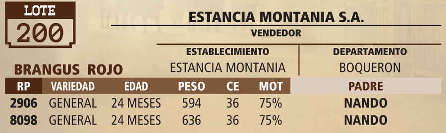 Lote LOTE 200 - VIVO