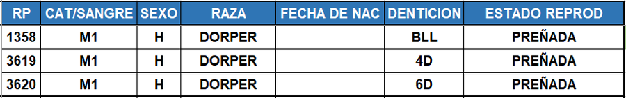 Lote LOTE 23