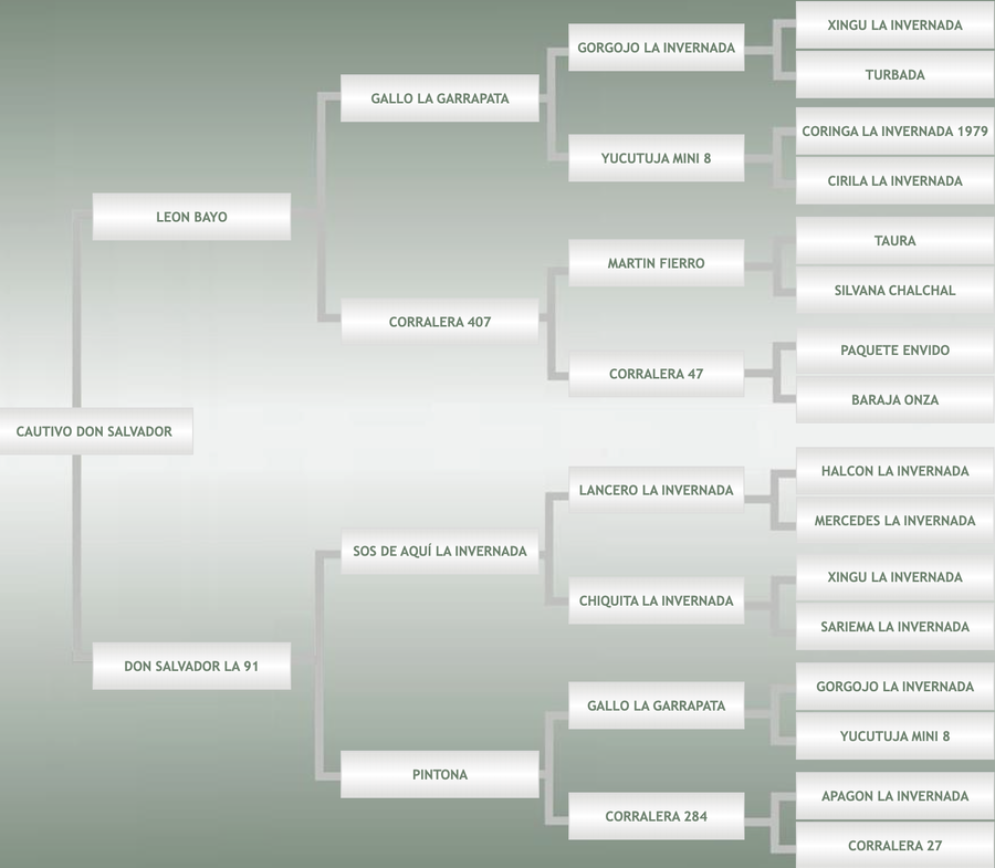 Lote Cautivo Don Salvador
