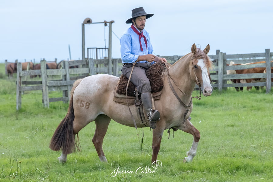 Lote Luna Llena De Los Recuerdos