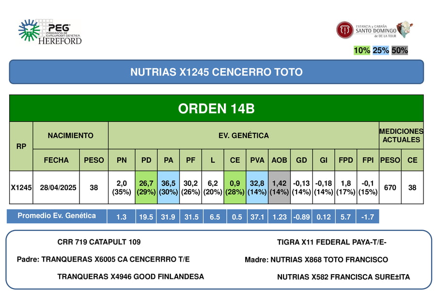 Lote ORDEN 14 TOROS PP