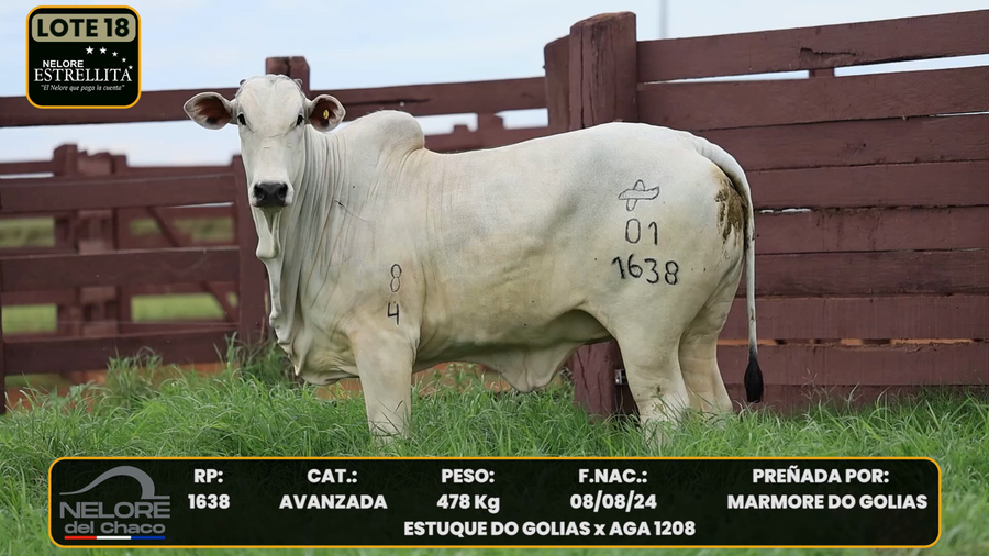 Lote LOTE 18