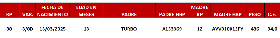 Lote LOTE 17 -DE JUNIOR