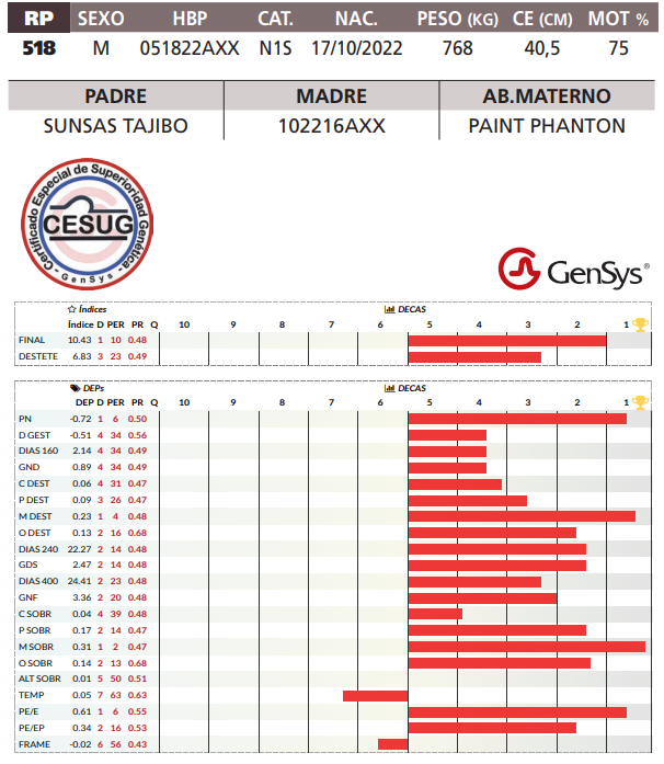 Lote LOTE 45
